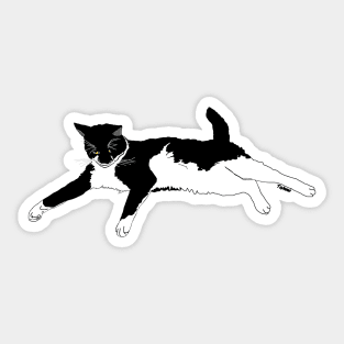 Cute Tuxedo Cat I want to play  Copyright TeAnne Sticker